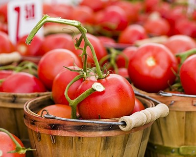 UE lidera comércio de produtos agroalimentares a nível mundial