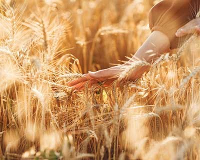 UE-Mercosul: AJAP destaca oportunidades, mas apela à adoção de salvaguardas eficazes para alguns setores