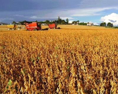 UE propõe sete medidas para proteger agricultores