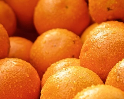 UE: regras mais simples proporcionam mais apoio aos produtores de frutas e hortícolas