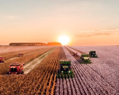 UE rejeita pedido de Portugal para recuperar 2 milhões em despesas agrícolas