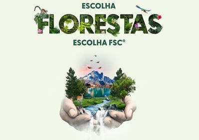 "Um Dia na Floresta" para refletir a importância da gestão florestal responsável