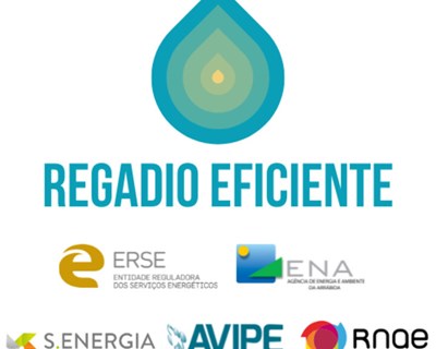 Uma plataforma gratuita ajuda os agricultores a calcular as necessidades reais de rega e poupar energia e água