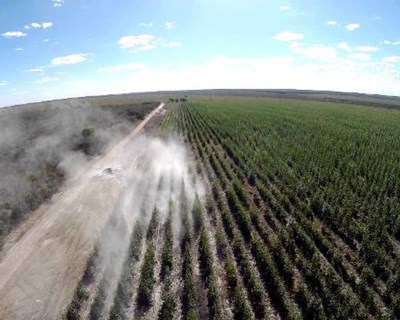 Universidade de Aveiro cria drone para avaliar florestas