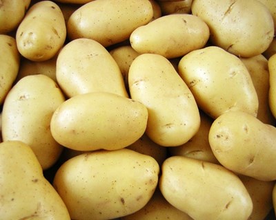 Universidade de Aveiro desenvolve embalagens alimentares a partir da batata