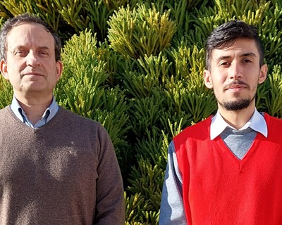 Universidade de Coimbra integra projeto que pretende criar Rede Europeia de Bioeconomia Circular