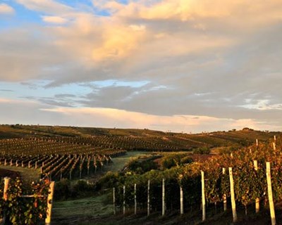 Uruguai recebe Congresso Latino-Americano de Enoturismo