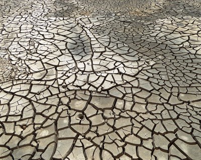 UTAD alerta para o flagelo da escassez da água