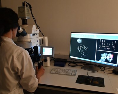 UTAD disponibiliza serviços especializados em genética humana, animal e vegetal