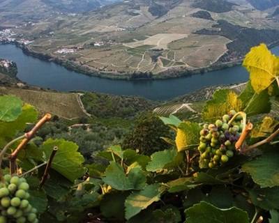 UTAD lança iniciativa bianual que vai debater o Douro
