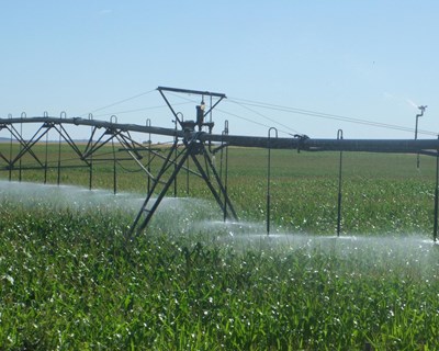 UTAD recebe I Simpósio Nacional de Fertilização e Rega