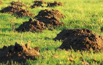 Valência acolhe Fórum Mundial sobre o acesso à terra