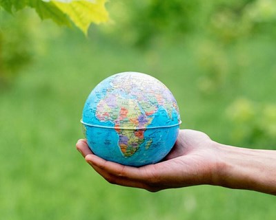 Valorfito anuncia nova redução na pegada de CO₂ no decorrer da sua atividade em 2024