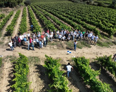 VI Forum Agricultura 4.0 reuniu cerca de 200 participantes