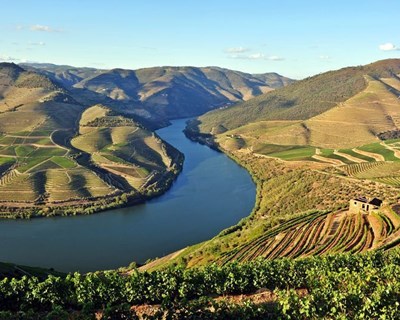 VII Congresso Internacional Viticultura de Montanha (CERVIM)