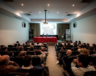 VIII Simpósio Nacional de Olivicultura reuniu 140 investigadores e técnicos