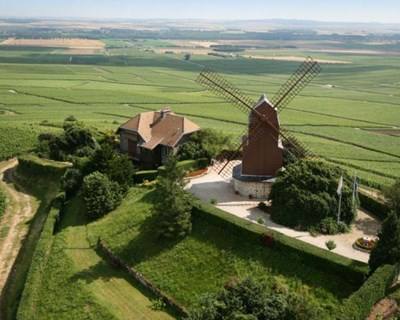 Vinhedos franceses de Champagne e Bourgogne classificados pela UNESCO