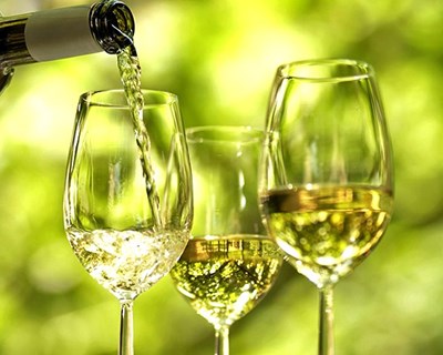Vinho verde: neste natal há provas de espumantes