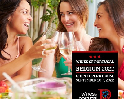 Vinhos de Portugal estão a caminho da Bélgica