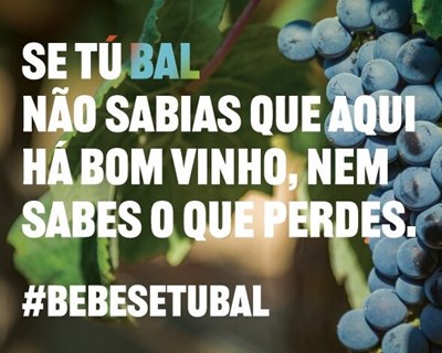 Vinhos de Setúbal apresentam nova identidade e campanha de rebranding