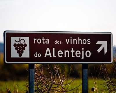 Vinhos do Alentejo diversificam mercados contra quebra de exportações