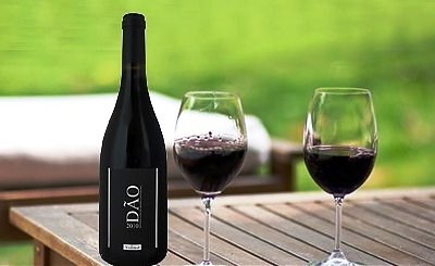 Vinhos do Dão à prova em Lisboa
