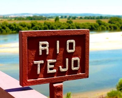Vinhos do Tejo consolidam crescimento