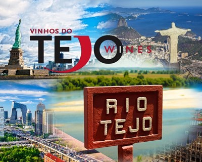 Vinhos do Tejo crescem 14,3% em Portugal e 19,8% nas exportações