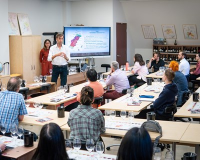 Vinhos do Tejo intensificam presença no Canadá