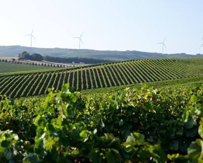 Vinhos do Tejo promoveram-se em Munique