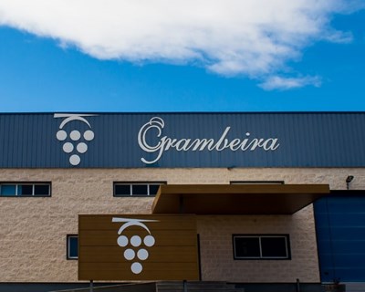 Vinhos Grambeira conquistam medalhas no Mundus Vini