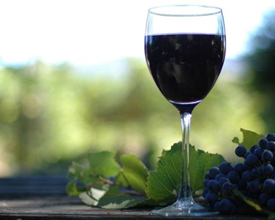 Vinhos portugueses brilham na Alemanha