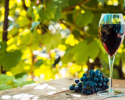 Vinhos portugueses conquistam em concurso internacional