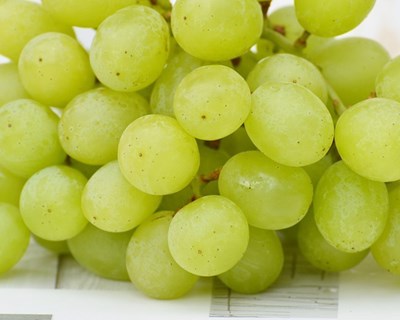 Vinhos portugueses «têm de aumentar» notoriedade no estrangeiro