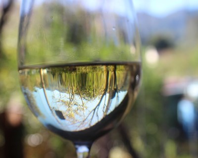 ViniPortugal promove roadshow no Brasil