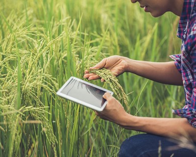 Visão estratégica para o agroalimentar: “Conhecer para decidir, planear para agir”