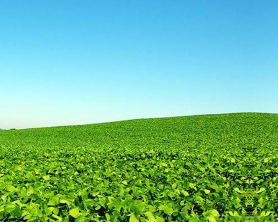 Viseu: colóquio esclarece agricultores sobre seguros
