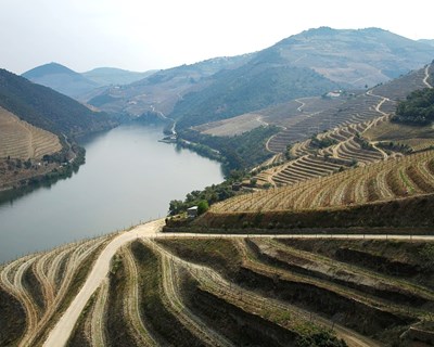 Viticultores do Douro querem contratos para saberem valor real das uvas
