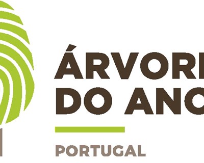 Votações abertas para o Prémio Árvore do Ano 2021