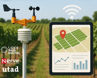 Webinar destaca a revolução dos dados na viticultura de precisão