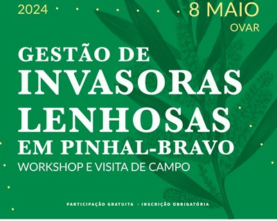 Workshop e visita de campo: controlo de invasoras lenhosas em pinhal