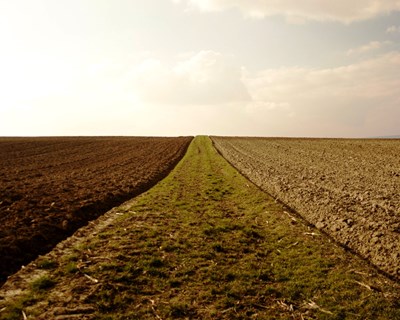 Workshop Nacional "Inovação para Circularidade na Bioeconomia: Caso da Agricultura e Floresta" a 22 de novembro