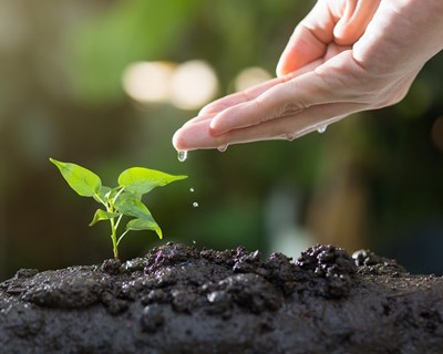 X Congresso Internacional de Agroecologia de 2 a 6 de setembro