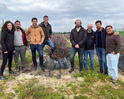 Yara e SanLucar unem-se para promover a agricultura regenerativa e a descarbonização no cultivo de mirtilos