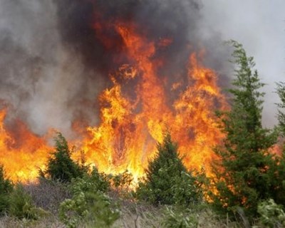 Zona ardida nas áreas protegidas subiu e ultrapassou os 8500 hectares