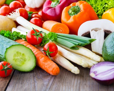 Zona Verde promove curso sobre Agricultura Biológica