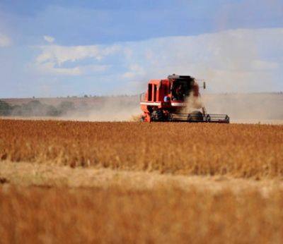 agricultura portuguesa