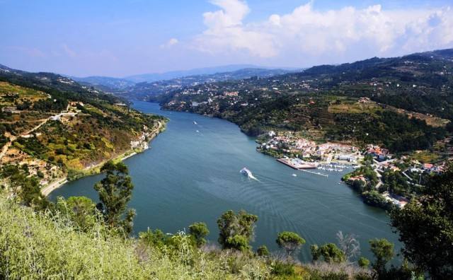 FEDER celebra 40 anos 