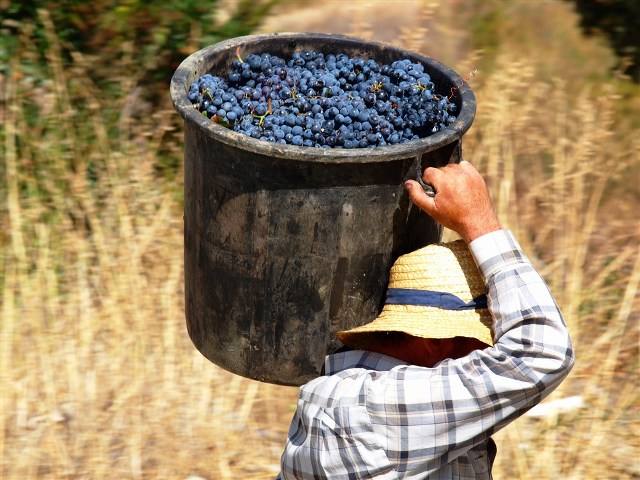 Douro