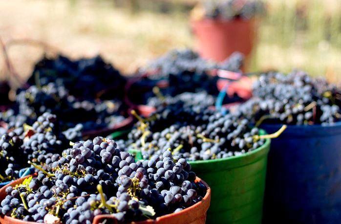 vinhos alentejanos